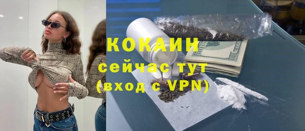 стаф Алзамай