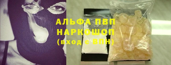 стаф Алзамай