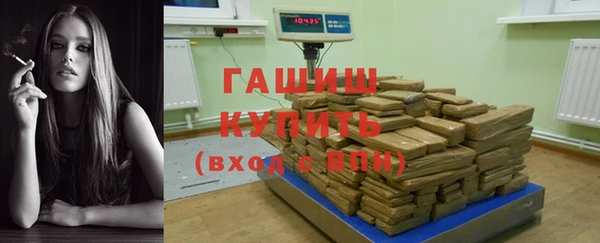 стаф Алзамай