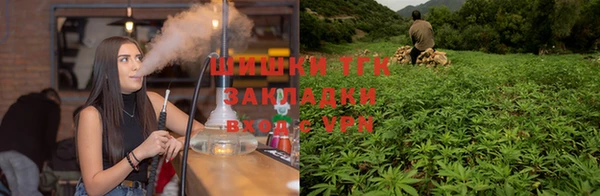 стаф Алзамай