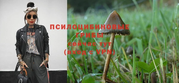 хмурый Алексеевка