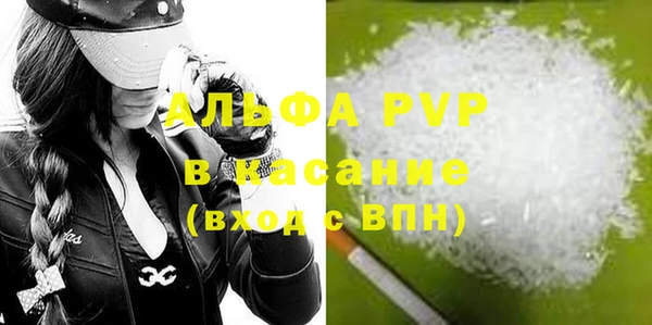 стаф Алзамай